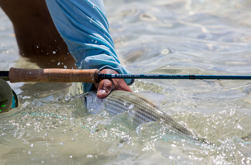 PREDATOR | 特価品を探す | WALTON'S INC